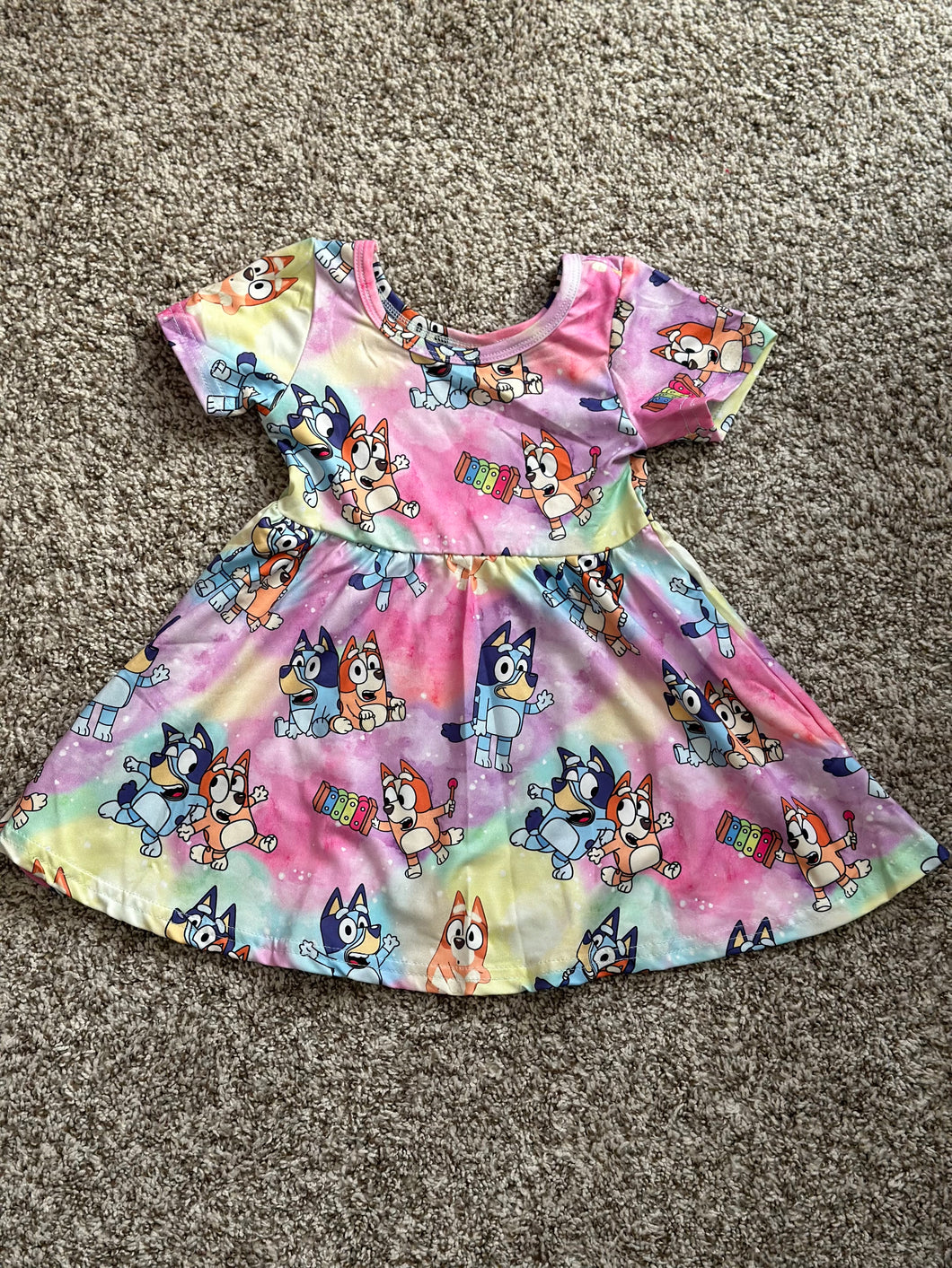 Bluey Dress